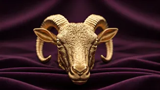 Capricorn's Daily Dose: Insights for Today