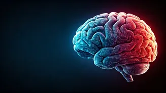 AI-Powered Productivity: OpenAI's Vision for a Shorter Work Week and Enhanced 'Me-Time'