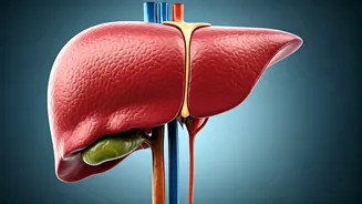 AIIMS Doctor Shares Sugar-Free Impact: 14-Day Transformation