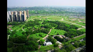 Aulas gratuitas: Parque Villa-Lobos tem prática de yoga e dança