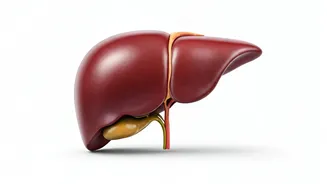 Boost Liver Health With These Morning Habits