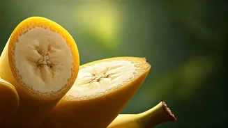 Related Stories banner