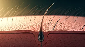 Hair Myths vs. Medical Facts: What Your Scalp and Roots Are *Really* Telling You