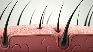 Can Women Get Hair Transplants? The Truth About Female Hair Restoration