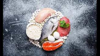 Não treinou hoje? Seu músculo ainda precisa de proteína para se recuperar