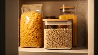 Beat the Bloat: Unlock the Secrets to a Moisture-Free Kitchen and Fresher Food