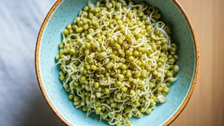 Why Cooked Moong Sprouts Are Everywhere Right Now