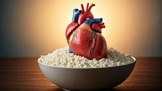 Curd and Cholesterol: Unpacking the Truth for Heart Health in India