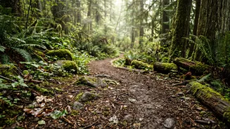 Guide to starting barefoot hiking safely