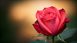 Love Is In The Air This Week, Says Horoscope