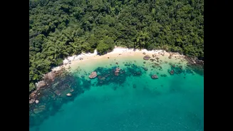 Previsão do tempo em Ubatuba: semana terá chuva e risco de temporais