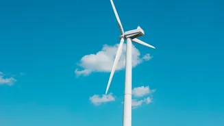 India's Agrivoltaics Push Highlights the Limits of Solar Capacity Alone