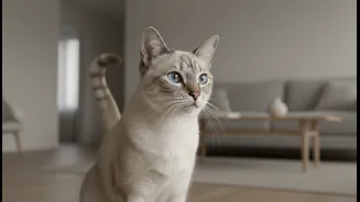 Cat Territory Explained: Why First Impressions Matter So Much
