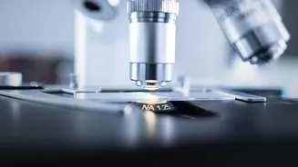 Papaya Leaf Extract Has Mixed Evidence and No Standard Preparation