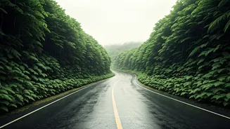 Rain Makes These Hill Roads Even Better