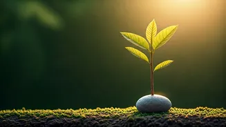 Empowering Your Child: Cultivating Mental Fortitude Through Independent Problem-Solving