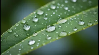 Healthy Monsoon Skin Begins With These Tips