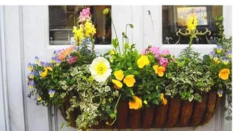 Why experts think coir is a decor game-changer