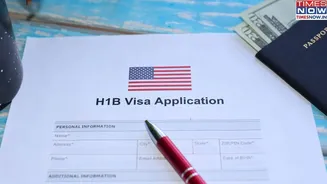Donald Trump's USD 100,000 H-1B Visa Fee Faces Legal Challenge From 20 States – What Did They Say?