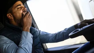 Cansaço ao volante: neurociência explica por que dirigir esgota nossa mente