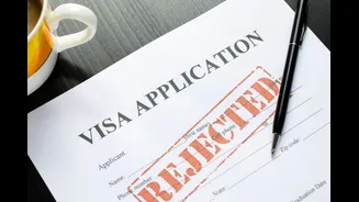 'System Being Abused': Texas Halts New H-1B Visa Applications, Citing Need To Protect US Jobs