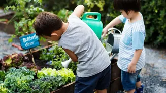 Windowsill Micro-Green Tray Setups Offer Fun Educational Gardening Projects For Urban Children At Home