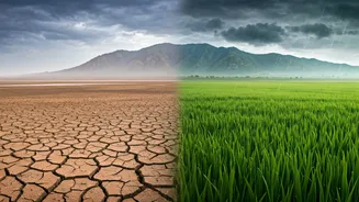 Monsoon Gives North India's Landscapes Fresh Life