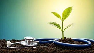 Early Gestational Diabetes: Your Essential Guide for a Healthy Pregnancy