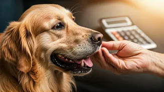 Retiree Pet Spending: Understanding the Rising Costs for Older Adults