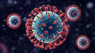 Unpacking Influenza A: Symptoms, Duration, and Recovery