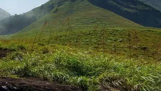 Post-Monsoon Weekend Escapes: Driving Through Western Ghats To Coorg And Satara
