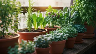 Urban Gardening Guides Help Urbanites Reclaim Lost Grounded Green Heritage