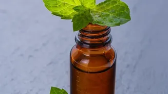Make rich zero waste cooking oils from leftover coriander and mint herb stems