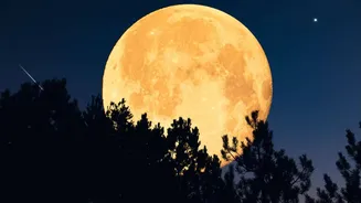 Adhik Maas Purnima 2026: Date, Snan and Daan Timings, and 3 Easy Remedies for Financial Growth