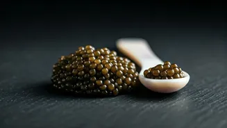 Savor the Splurge: How to Authenticate Caviar Like a Connoisseur at Your Next Meal