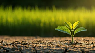 Environmental Awareness Is Spreading Faster
