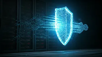 Navigating Online Security: How Websites Safeguard Your Digital Experience