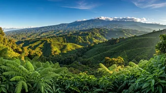 Costa Rica: The Ultimate Retirement Haven with 12 Unique Climates