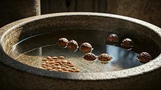 Discover Nature's Laundry Secret: Reetha & Hingot - Eco-Friendly Indian Washing Agents