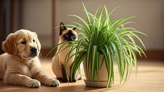 Spider Plants Are The Pet-Friendly Home Hero
