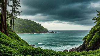 Monsoon Andaman Is Romance With Wild Island Energy