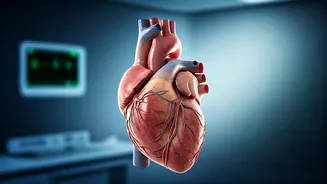 Thyroid's Silent Threat: How It Impacts the Heart