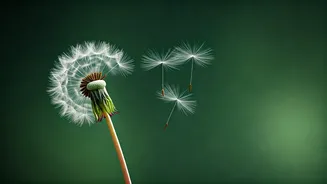 Mastering the Present: How This Moment Shapes Your Entire Life