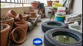 Dengue Prevention Starts With Your Balcony Audit