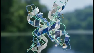 Fat-Burning Protein Stories Need Evidence, Nuance And No Miracle Language