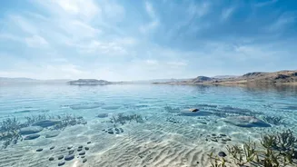 Eocene Environment Adds Important Context To 38-Million-Year-Old Marine Fossils Found In Ladakh