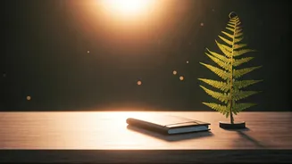 Unlock Your Day: The Power of 5 AM Affirmations for Clarity and Calm