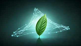 AI Revolutionizing Health & Wellness Coaching: Enhanced Skills, Operations, and Client Support