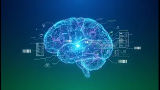 What Young Indians Should Understand about NIN's Planned AI Nutrition Bot