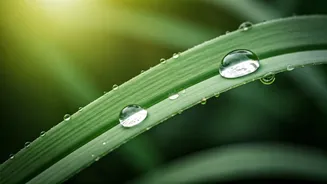 Gut-Friendly Food Is The Smart Rainy-Season Flex